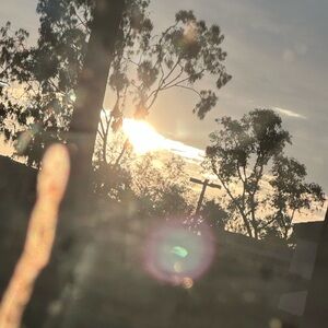 Meet your Posher, Ann